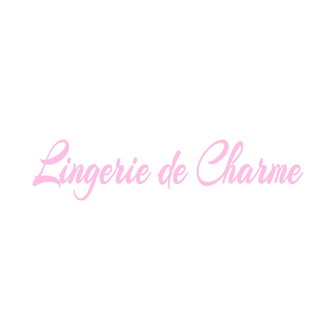 LINGERIE DE CHARME LA-CHAPELLE-MONTABOURLET